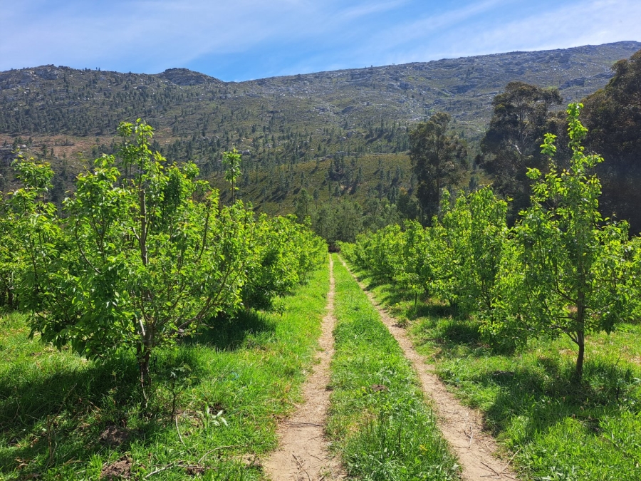 7 Bedroom Property for Sale in Riversdale Rural Western Cape